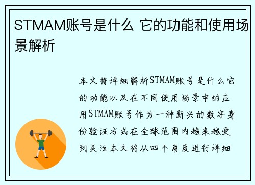STMAM账号是什么 它的功能和使用场景解析